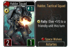 04-Haldor-Squad-Space-Wolves