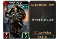 18-Varald-Squad-Space-Wolves